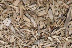 biomass boilers Brechfa